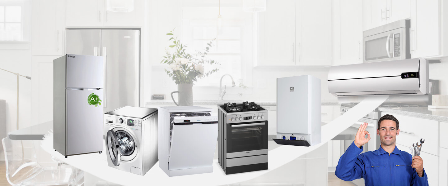 Çameli Electrolux Servisi